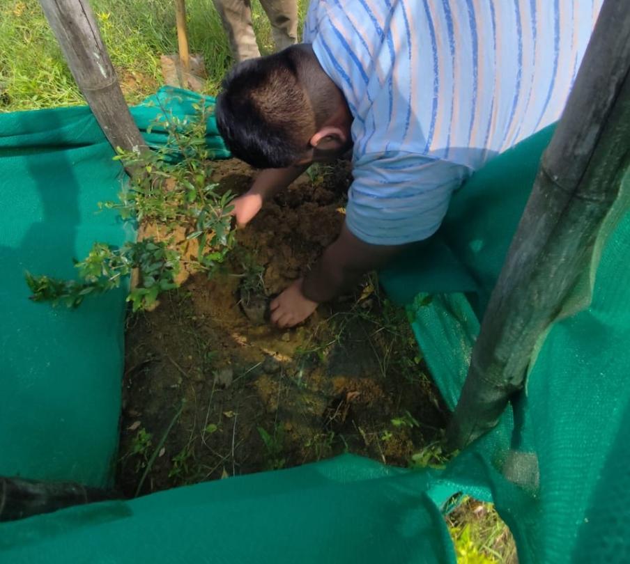 19 new lives planted in Odisha! 🌿 Under the One Teen One Tree initiative.