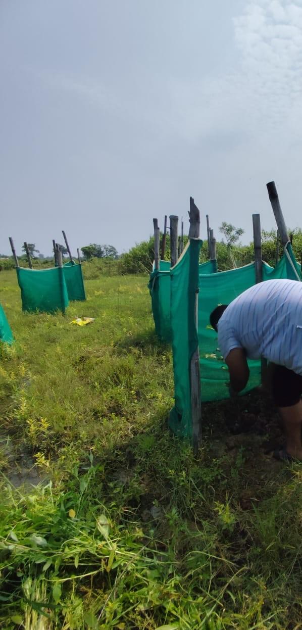 19 new lives planted in Odisha! 🌿 Under the One Teen One Tree initiative.